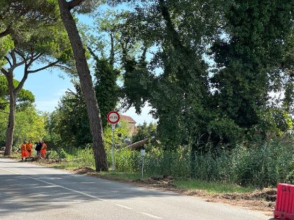 Ancora in corso gli interventi per sgomberare i rami spezzati e gli alberi caduti nelle vie comunali Ancora in corso gli interventi per sgomberare i rami spezzati e gli alberi caduti nelle vie comunali