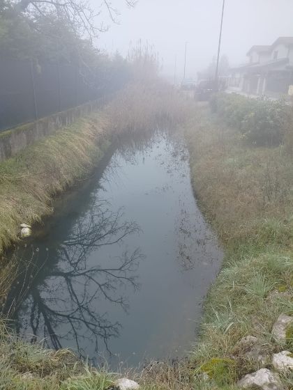 Via Bevazzana: “All'attenzione degli enti le istanze dei residenti. Ora si avvia la procedura per risolvere la criticità