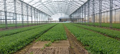 Origine dei prodotti agroalimentari: in consiglio una mozione per più trasparenza 