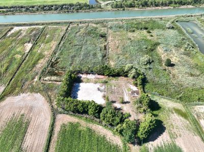 Area sito orfano_Cavallino