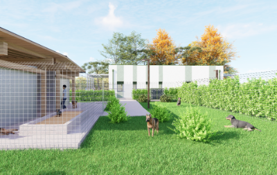Render_Rifugio canile gattile_Punta Sabbioni