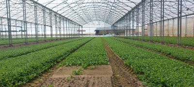 WhatsApp Image 2026-03-23 at 11.31.13