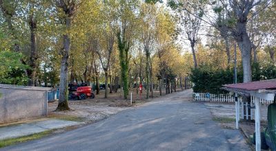 Campeggio comunale_Ca' Savio