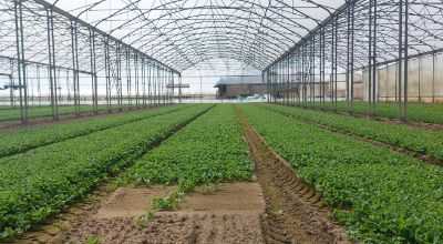 WhatsApp Image 2026-03-23 at 11.31.13